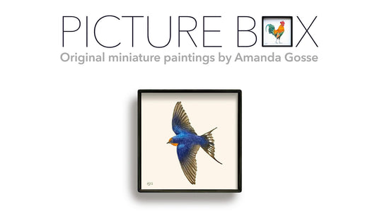 Picture Box Launch
