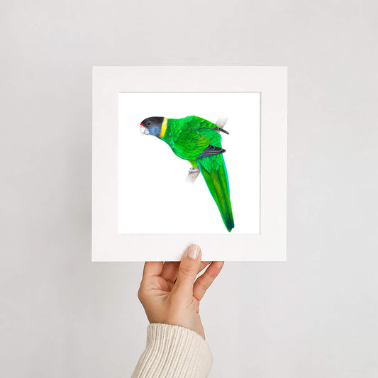 Hand holding a framed print of a green parrot against a white background