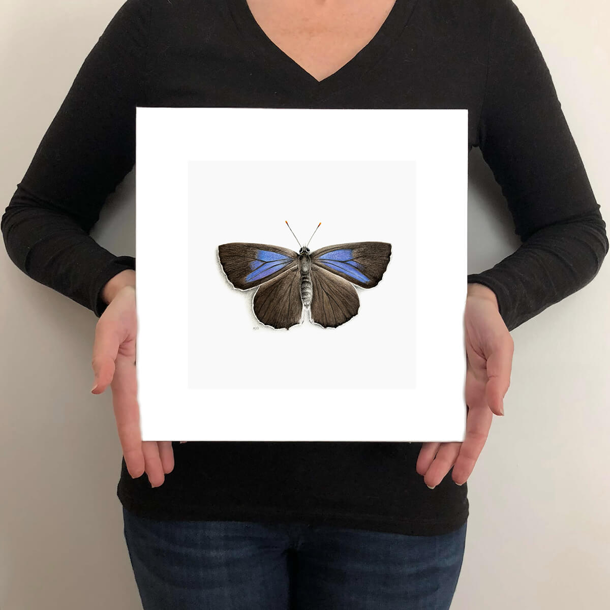 Purple Hairstreak Butterfly Giclée Fine Art Print Size Guide