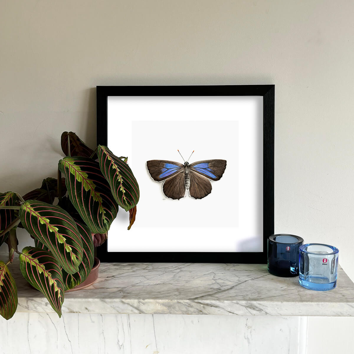 Purple Hairstreak Butterfly Giclée Fine Art Print shown framed example