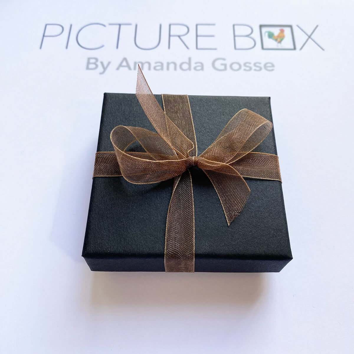 Squirrel Picture Box Miniature Painting by Amanda Gosse