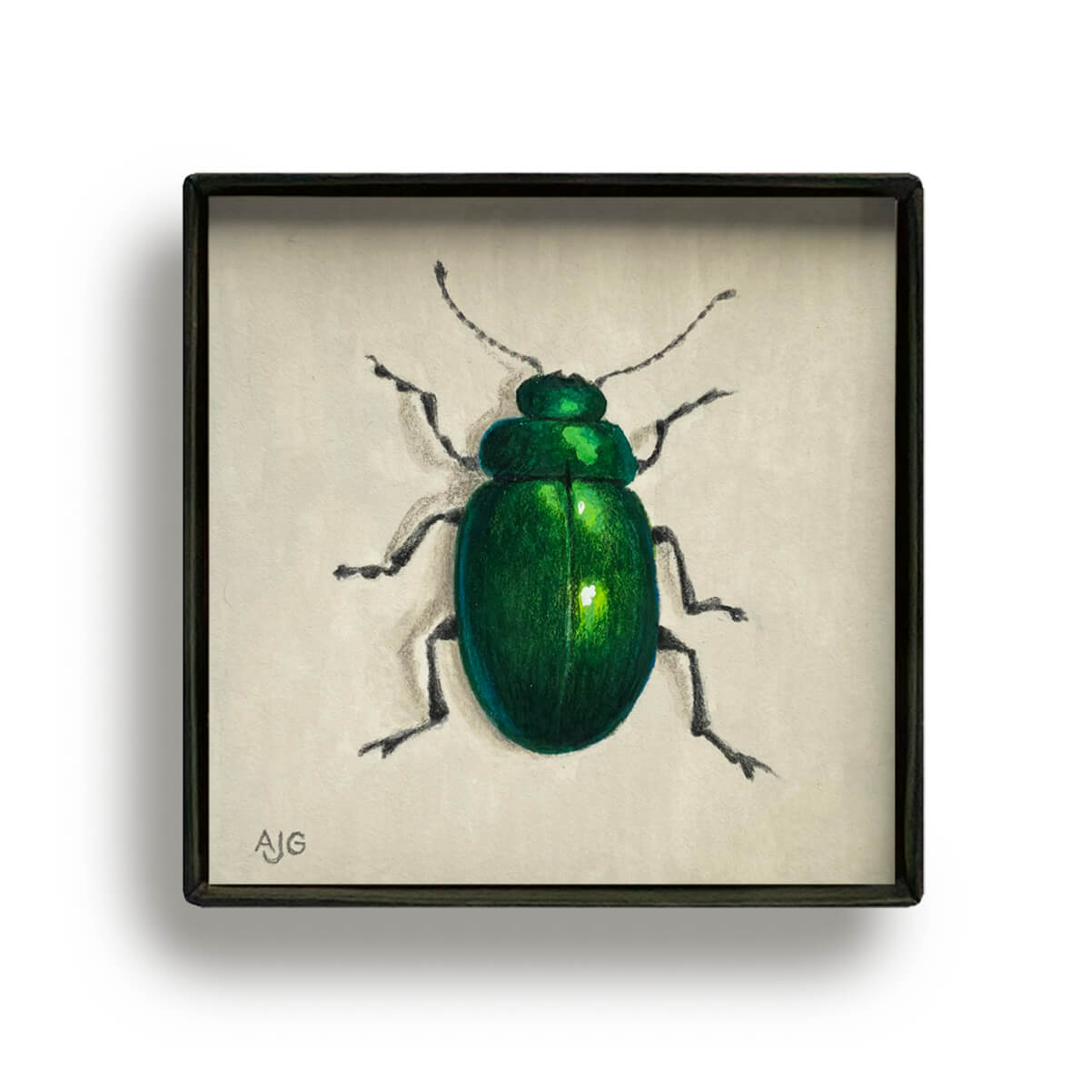 Jewel beetle Picture Box miniature insect painting by Amanda Gosse