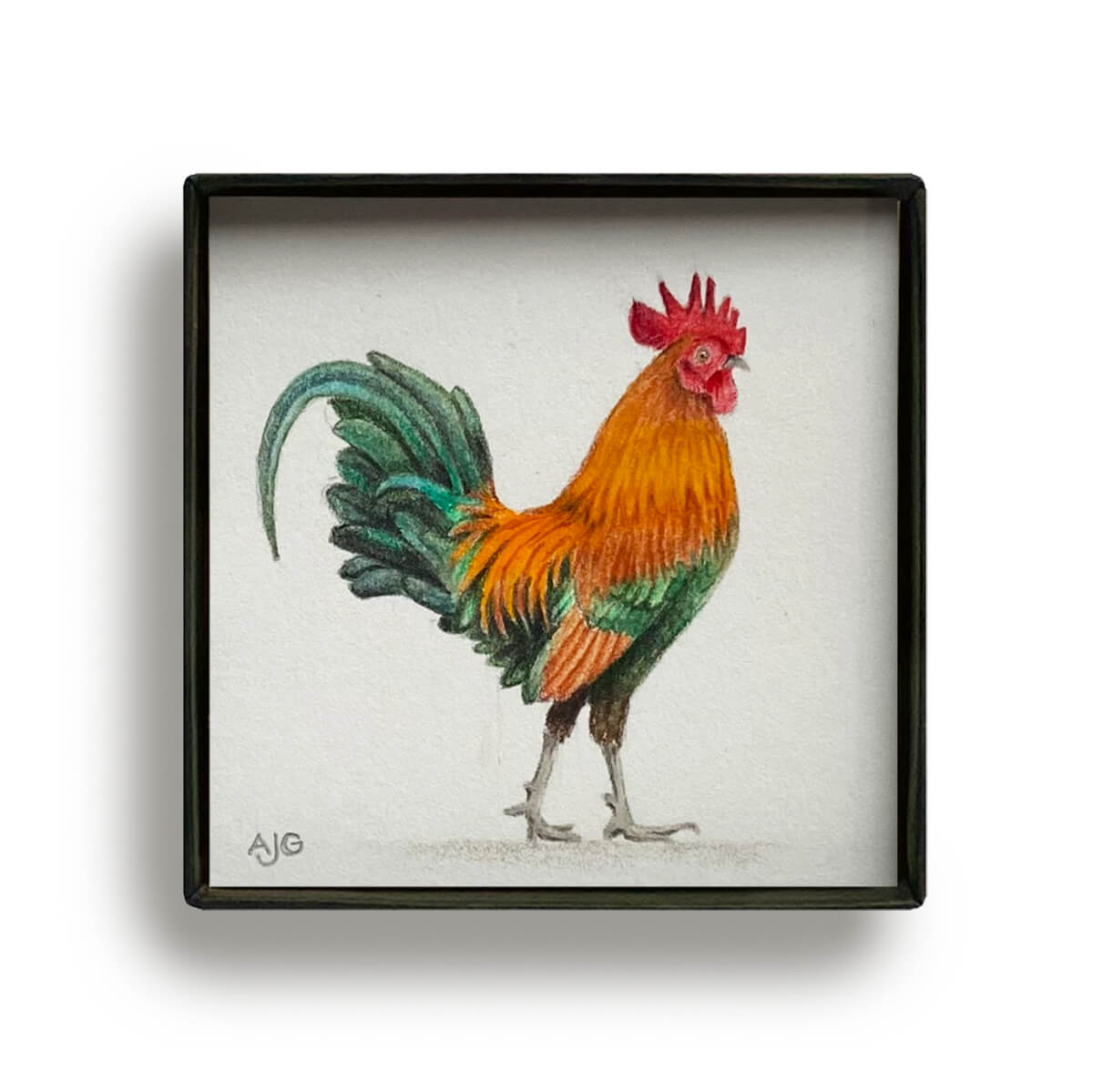 Cockerel Picture Box miniature bird painting by Amanda Gosse