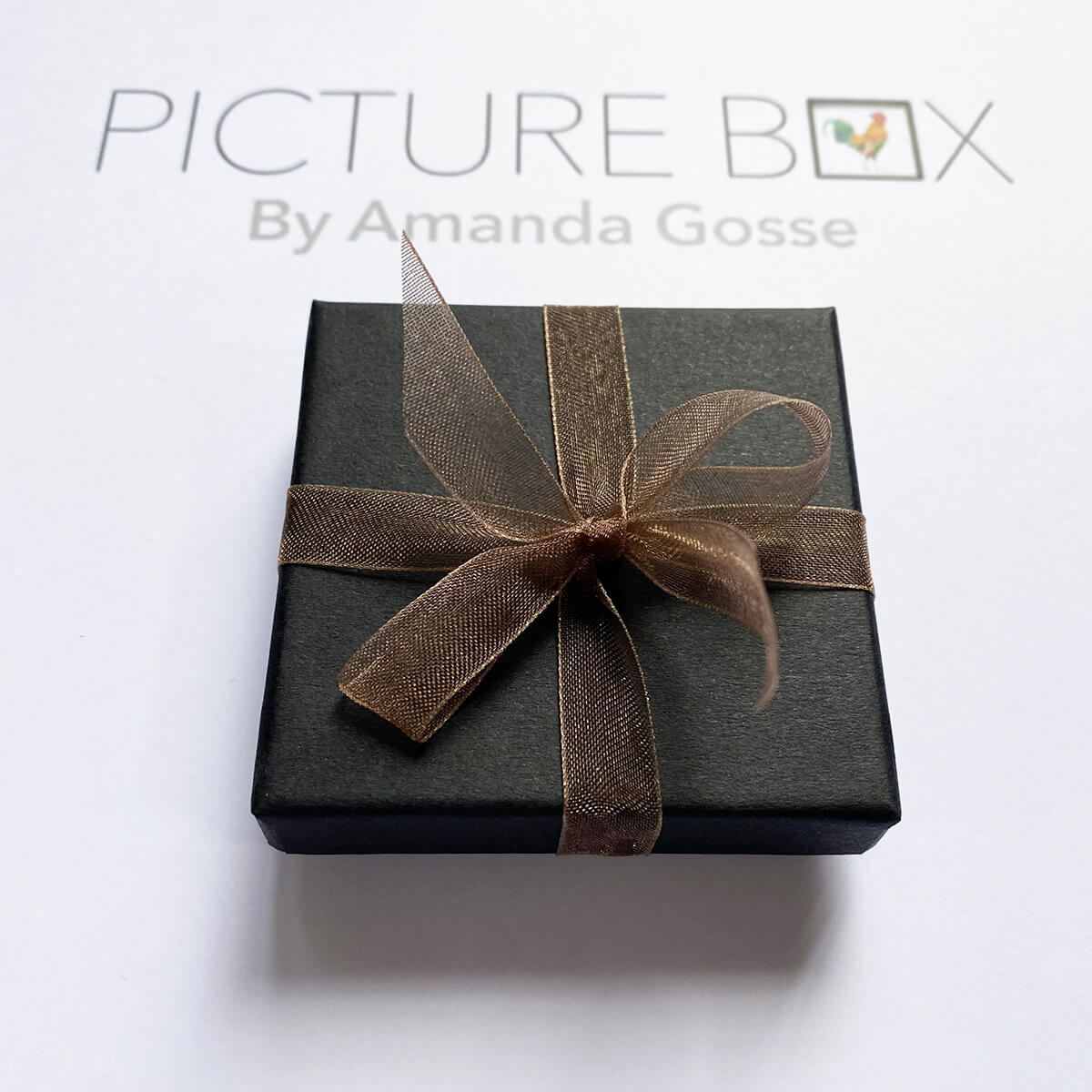 Picture Box — Miniature Barn Owl Painting