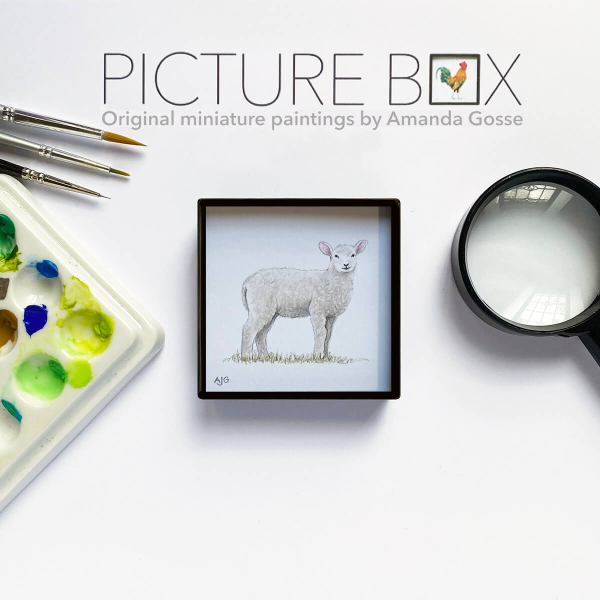 Lamb Picture Box miniature baby sheep animal artwork by Amanda Gosse