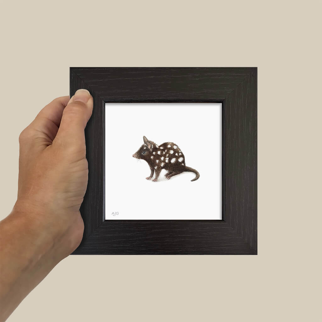 Hand holding a small framed picture of a spotted quoll animal on a beige background
