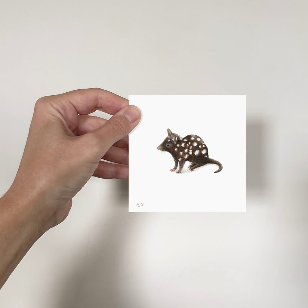 Hand holding a miniature painting with a spotted Eastern Quoll illustration on a plain background