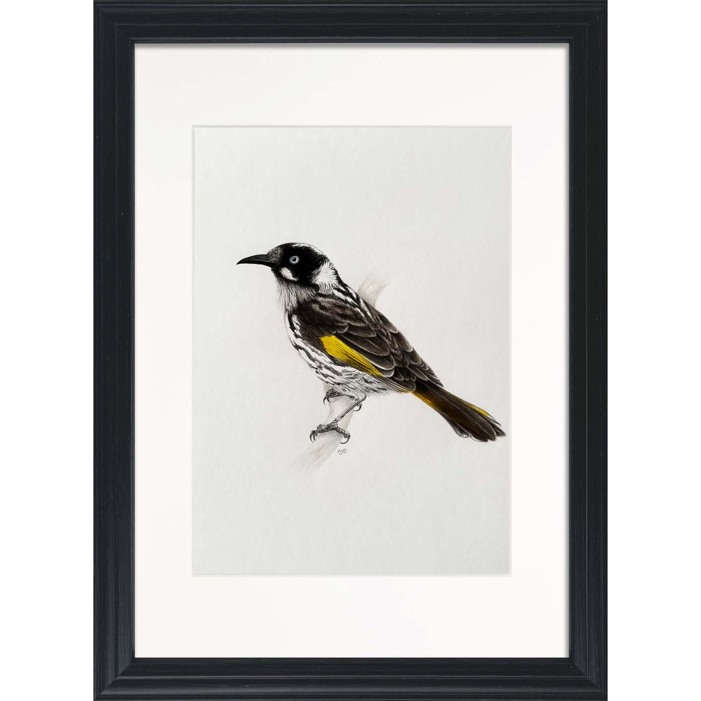 Framed artwork of a bird with a black frame on a white background