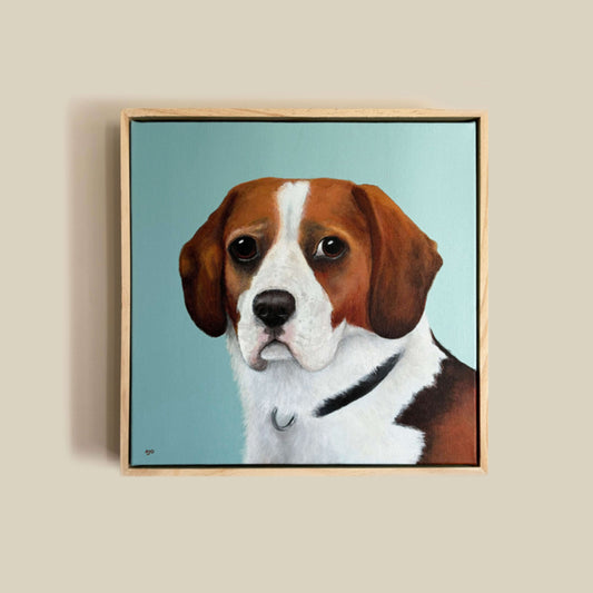 Beaglier original art pet portrait commission by Amanda Gosse