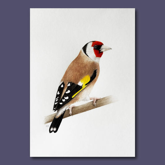 Illustration of a bird perched on a branch with a white background