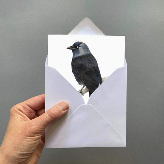 Hand holding an open envelope with a card featuring a jackdaw bird design on a grey background
