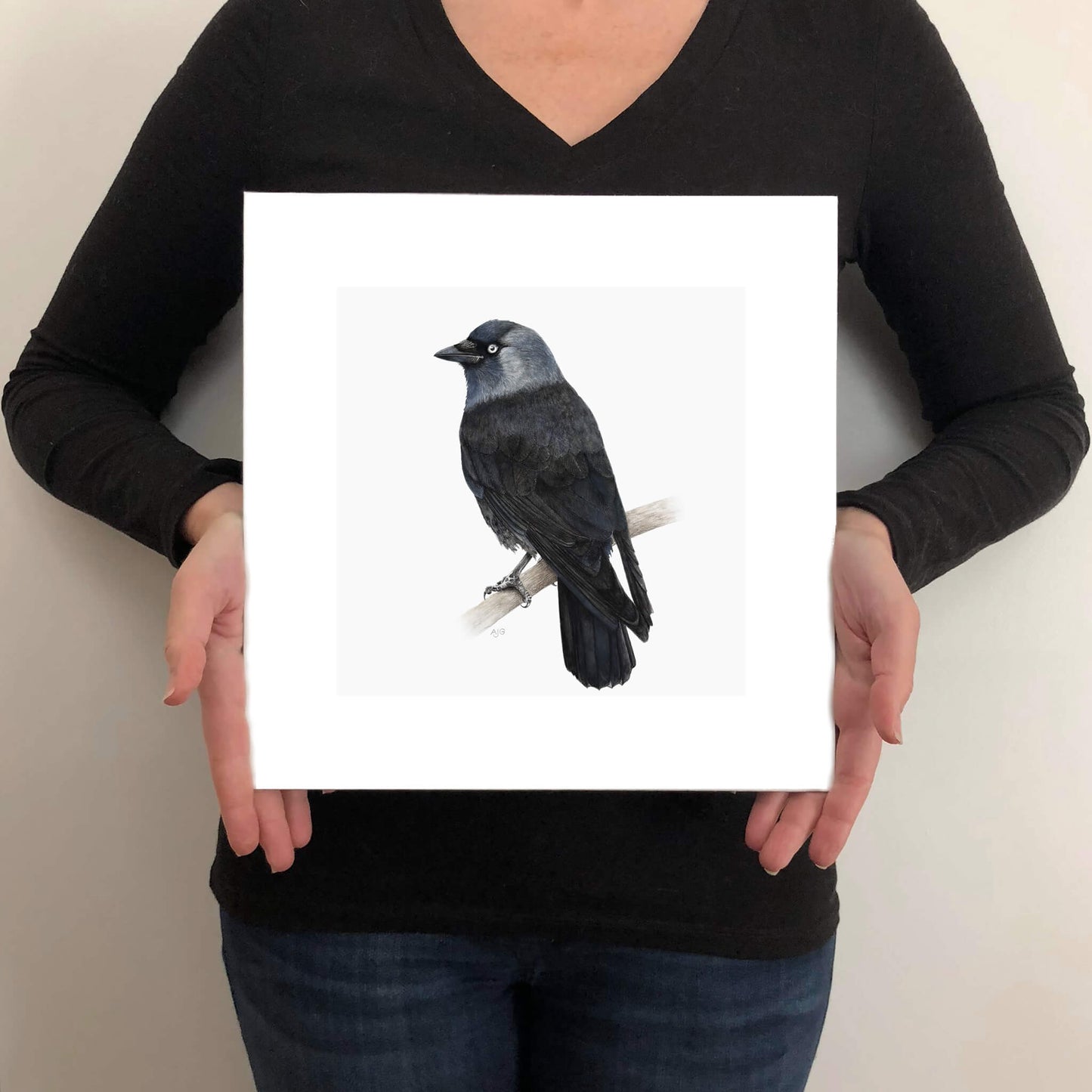 A limited edition fine art print of a jackdaw bird