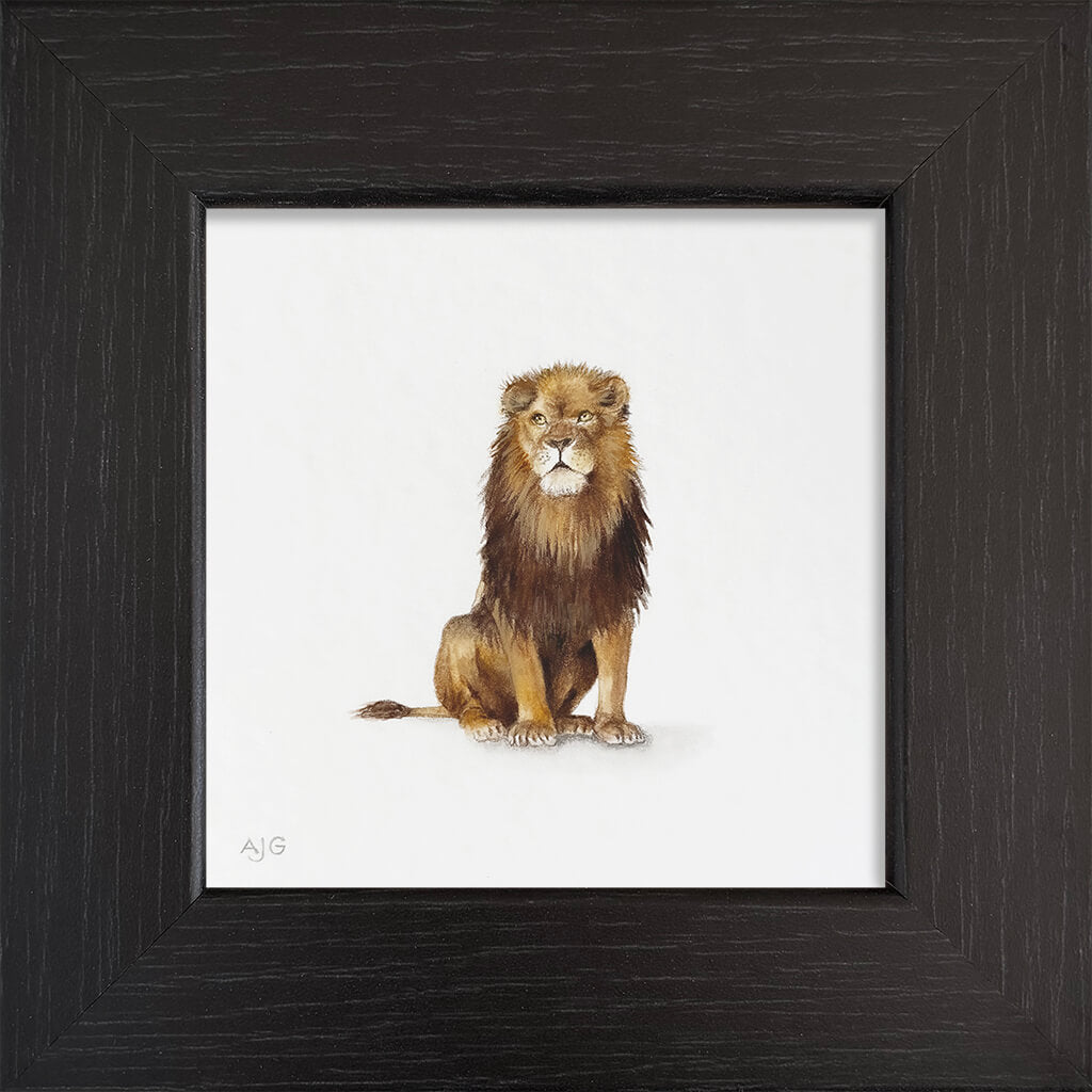 Framed artwork of a lion on a white background