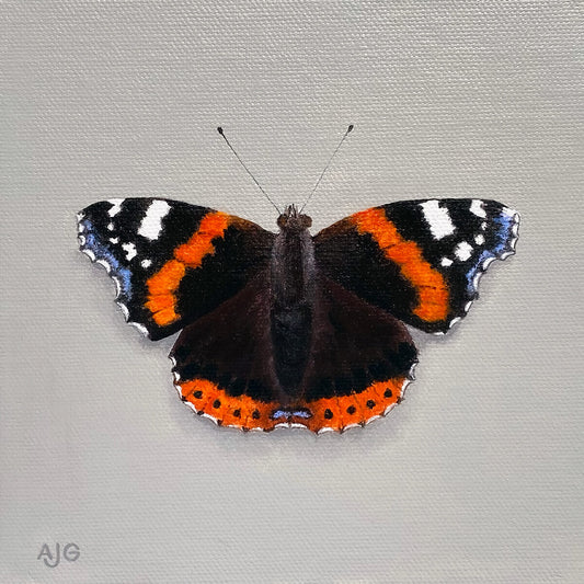 Original miniature painting of a red admiral butterfly by Amanda Gosse AJG Artist