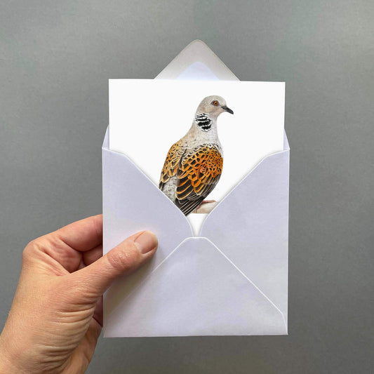Hand holding a white envelope with a turtle dove bird illustration on a gray background