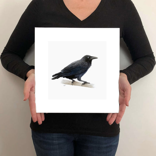 A giclée fine art print on paper of an Australian Raven bird on a light grey background. This image illustrates the print size.