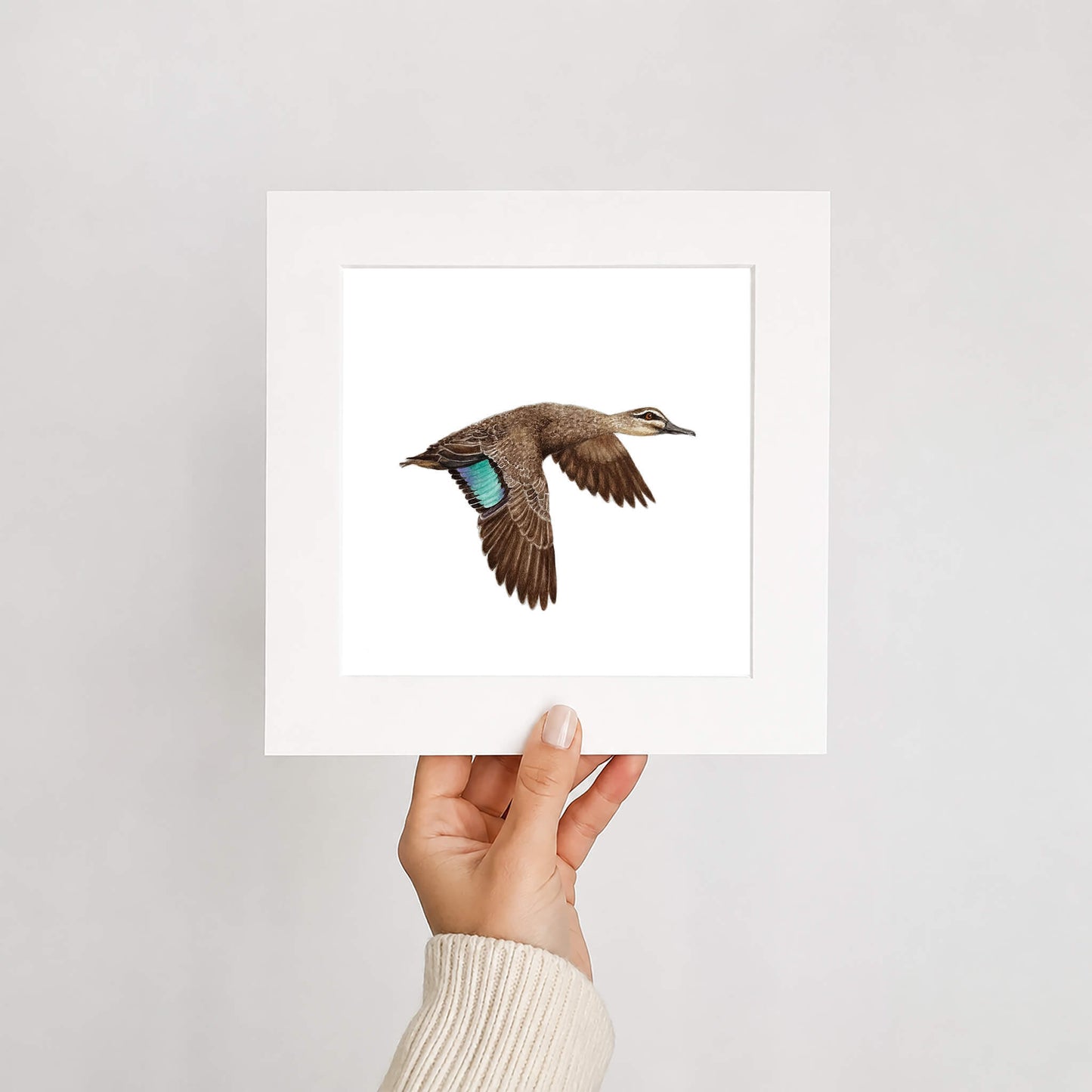 Hand holding a framed print of a duck on a plain background