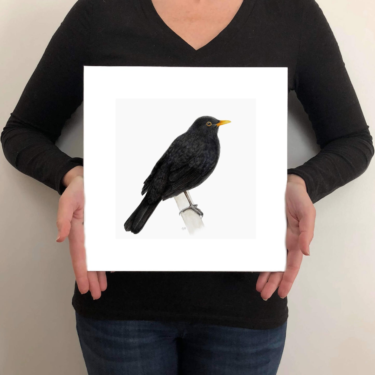 A giclee fine art print on paper of a blackbird on a light grey background. This image illustrates the print size.
