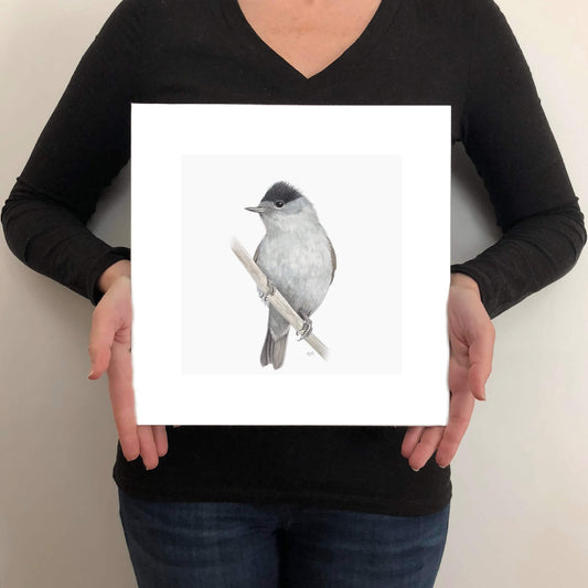 A giclée fine art print on paper of a blackcap bird on a light grey background. This image illustrates the print size.