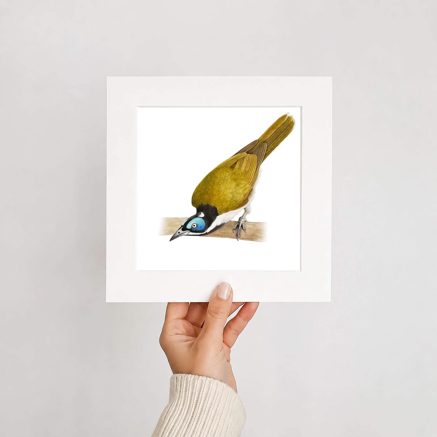 Hand holding a framed print of a green bird on a branch against a white background
