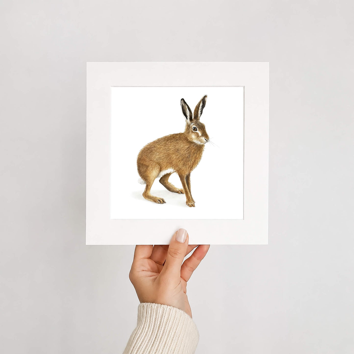 Brown hare print held by hand