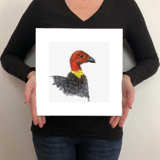 A giclée fine art print on paper of a Brush Turkey bird on a light grey background. This image illustrates the print size.