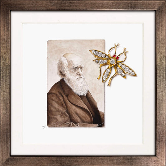 Framed portrait of Charles Darwin with a decorative insect brooch on a white background