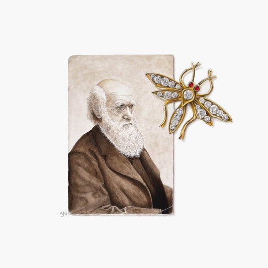 Portrait of a historical figure next to a decorative brooch on a white background