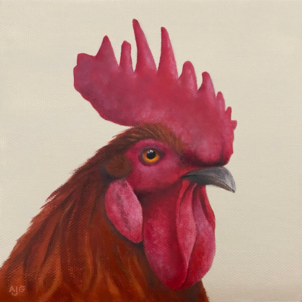 Original acrylic miniature painting of a rooster by bird artist Amanda Gosse