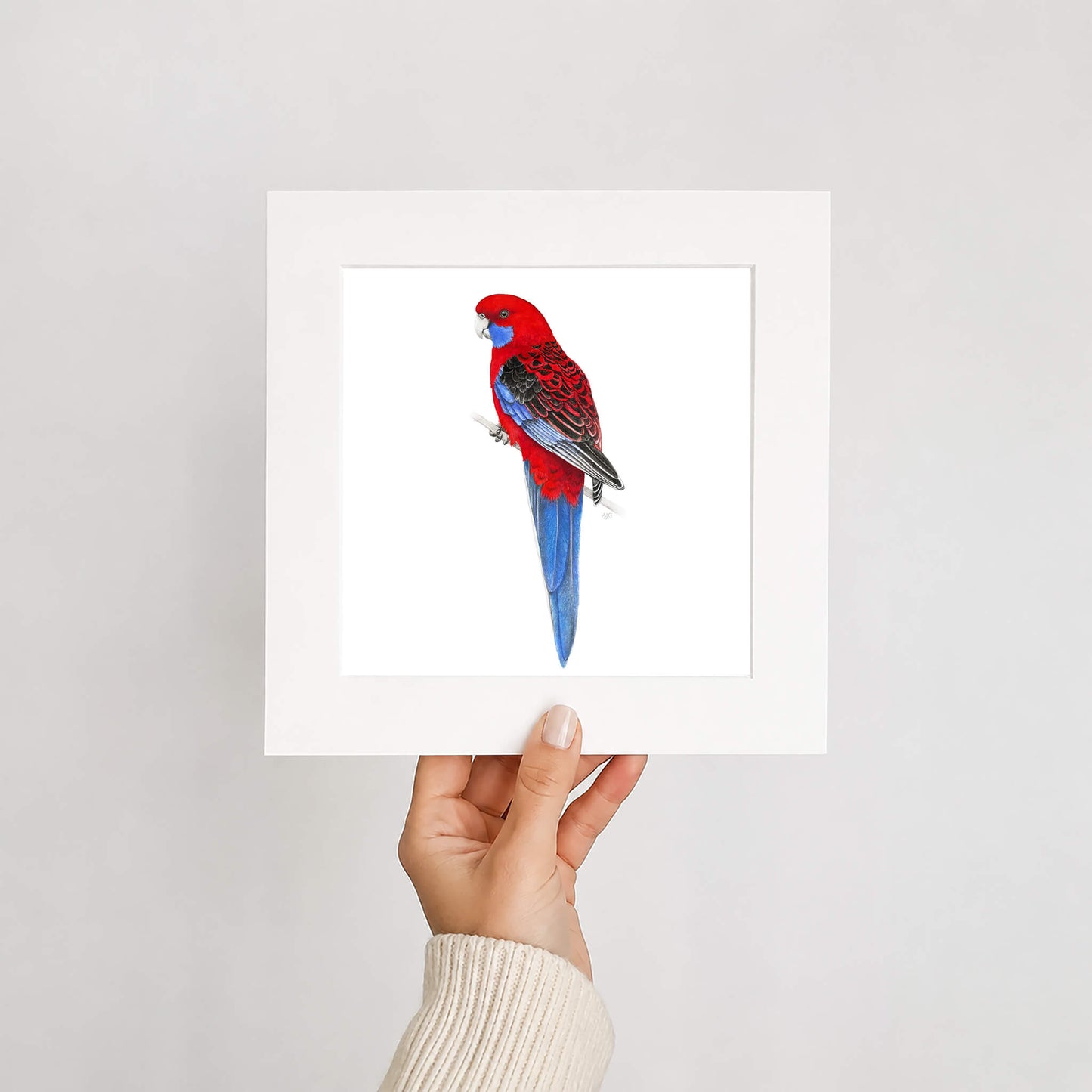 Hand holding a card with a red and blue parrot illustration on a light gray background