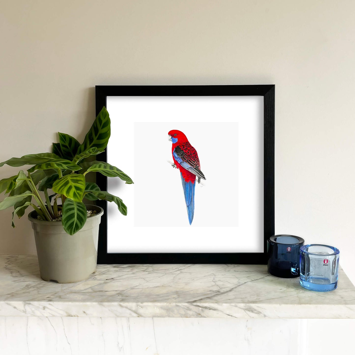 A bird giclée fine art print on paper of a Crimson Rosella. Image shows the print framed and in a room setting.