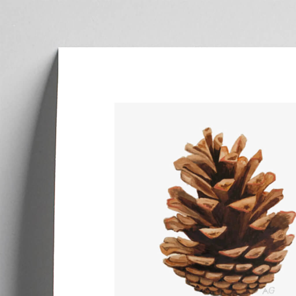 Giclée fine art print of a pine cone on a pale grey background. This image shows a section, to highlight the detail.