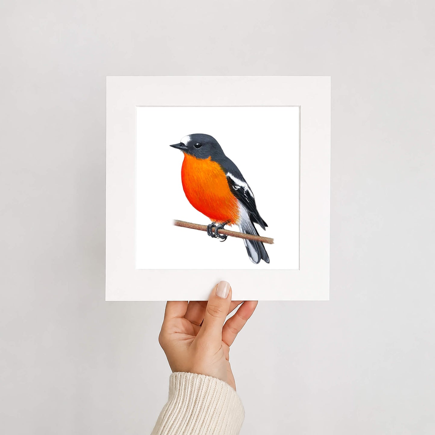 Hand holding a card with a flame robin bird illustration against a white background