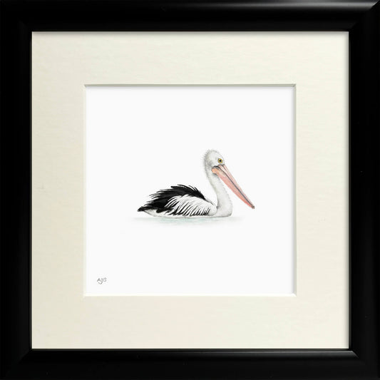 Framed painting of an Australian pelican
