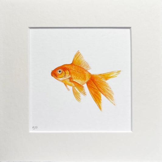 Matted artwork of a goldfish on a white background