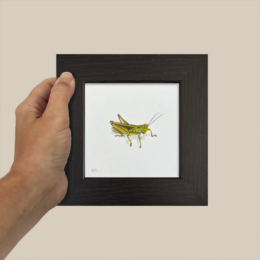 Framed artwork of a grasshopper held by a hand against a beige background