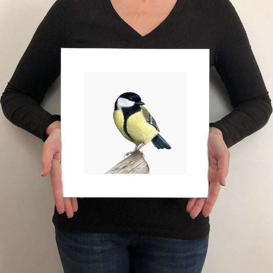 A giclée fine art print on paper of a Great Tit bird on a light grey background. This image illustrates the print size.