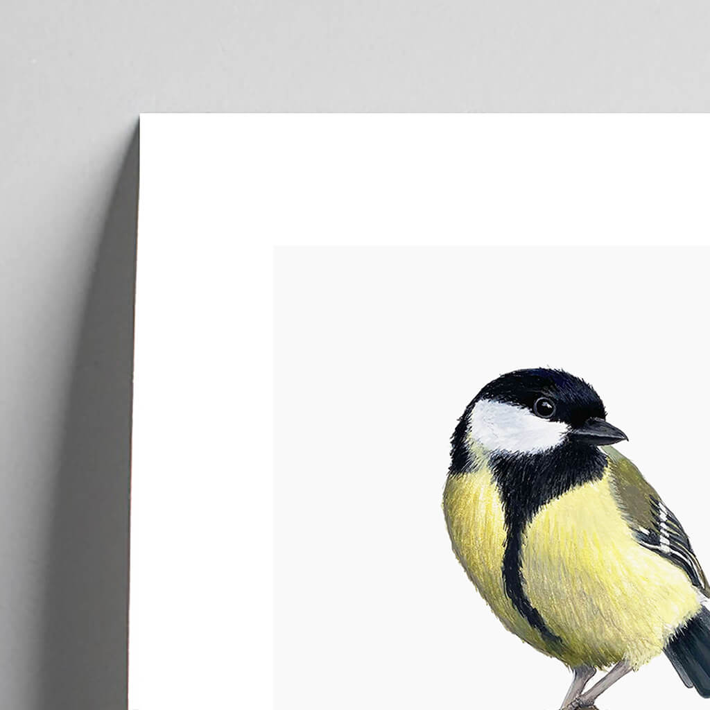 Giclée fine art print of a Great Tit on a pale grey background. This image shows a section, to highlight the detail.