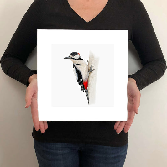 A giclée fine art print on paper of a Greater Spotted Woodpecker bird on a light grey background. This image illustrates the print size.