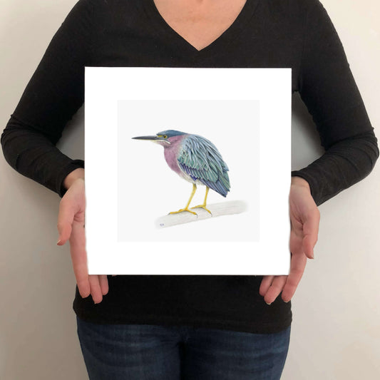A giclée fine art print on paper of a Green Heron bird on a light grey background. This image illustrates the print size.