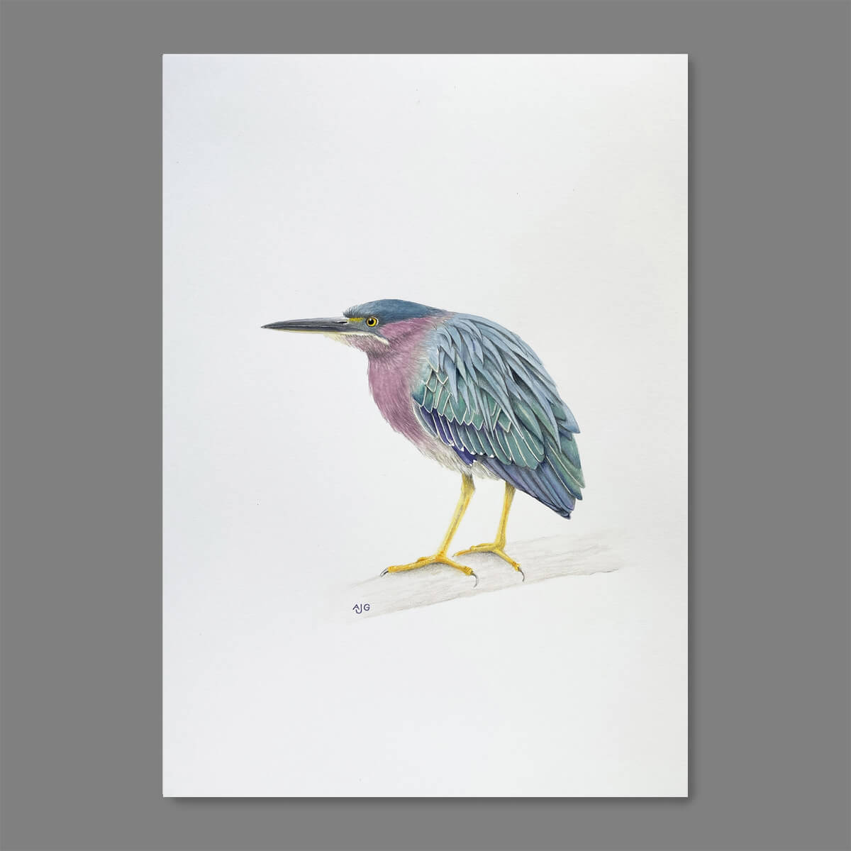 An original realistic painting of a Green Heron bird on a branch, painted in gouache and colour pencil. Artwork shown floating on a dark grey background.