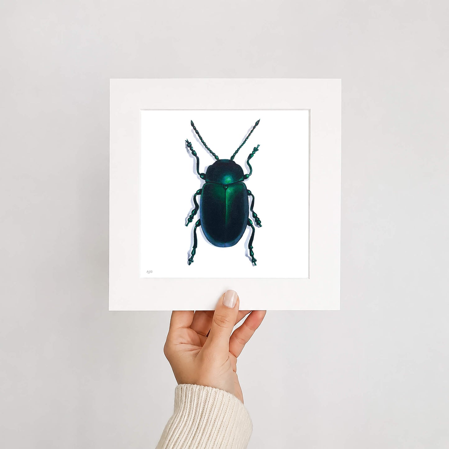 Mounted print of a green shiny beetle held by a hand against a plain background