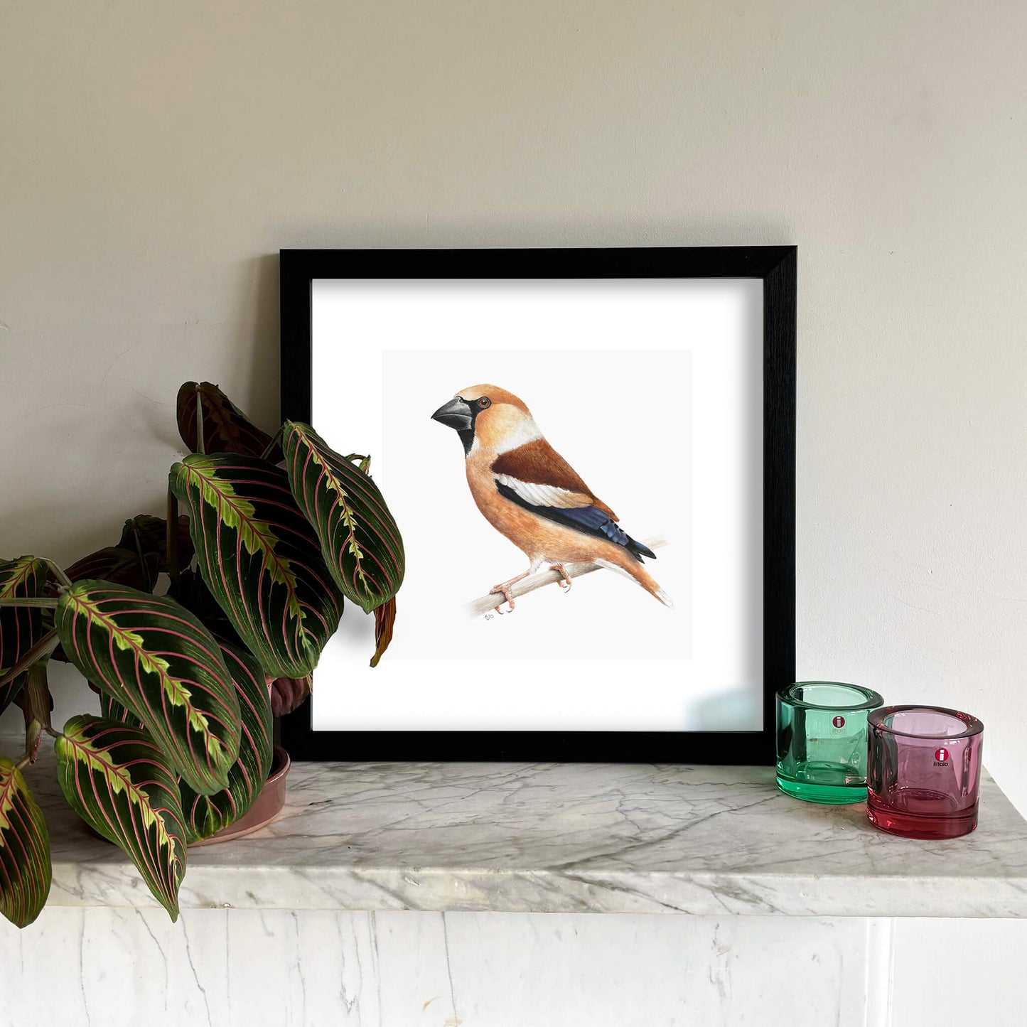 A bird giclée fine art print on paper of a hawfinch. Image shows the print framed and in a room setting.