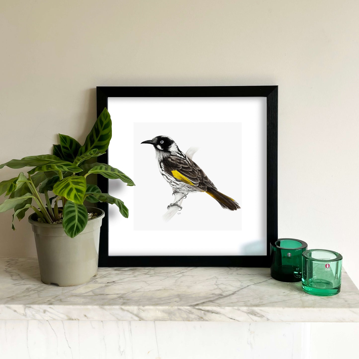 A bird giclée fine art print on paper of a New Holland Honeyeater. Image shows the print framed and in a room setting.