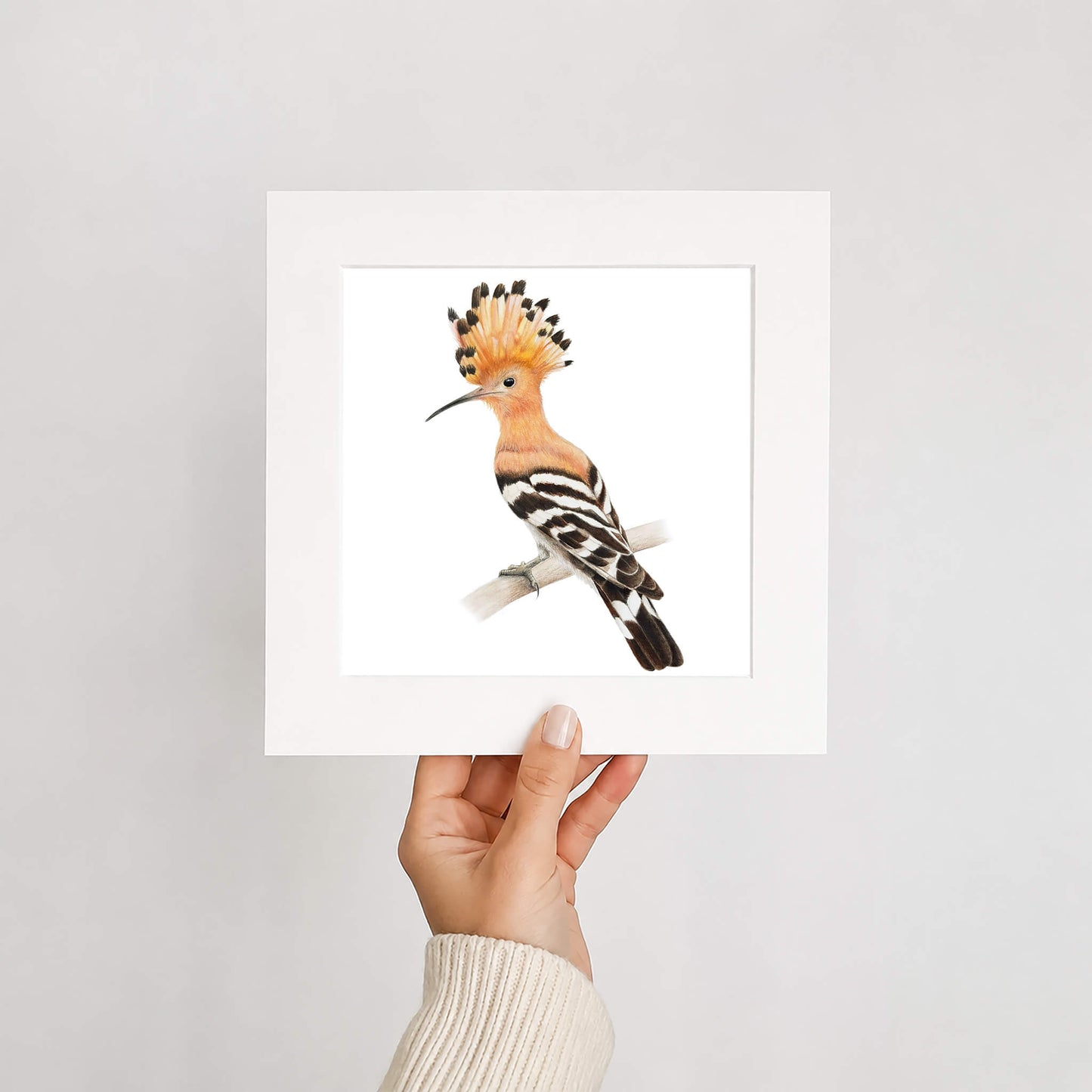 Hand holding a framed print of a hoopoe bird against a plain background