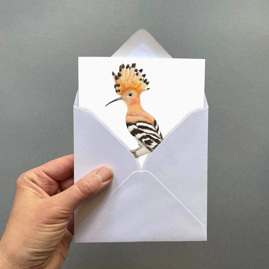 Hand holding a white envelope with a card featuring a bird design on a grey background