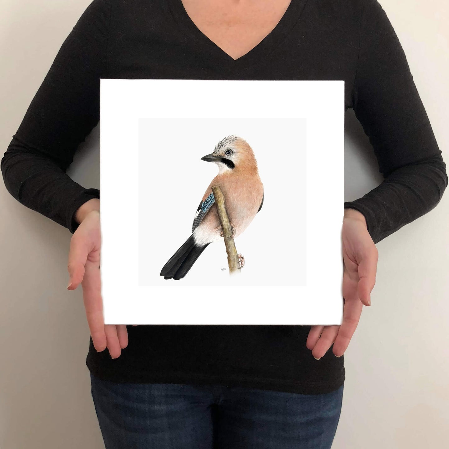 A giclee fine art print on paper of a jay bird on a light grey background. This image illustrates the print size.