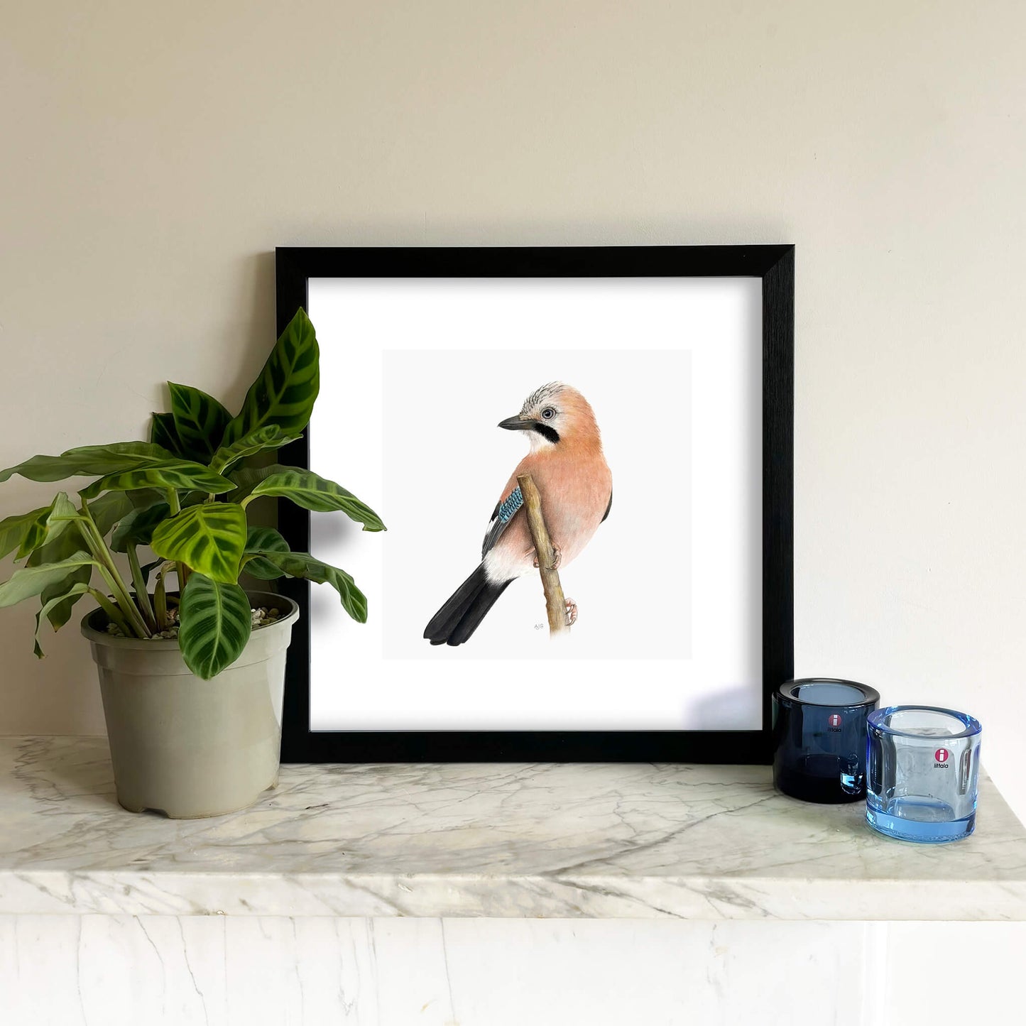 A bird giclee fine art print on paper of a jay on a light grey background. Image shows the print framed and in a room setting.