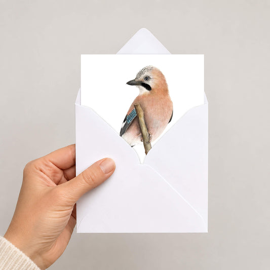 A jay greetings card in white envelope held by hand
