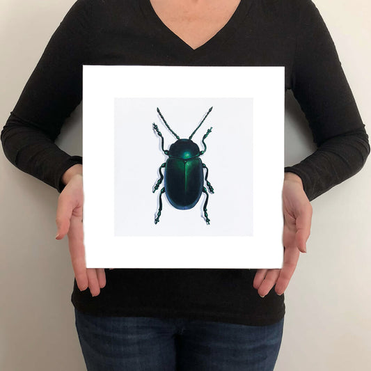 A giclée fine art print on paper of a Jewel Beetle on a light grey background. This image illustrates the print size.